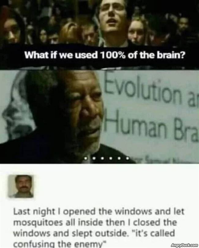 All Of The Brain