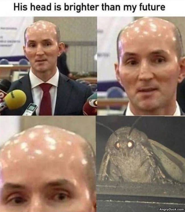 Daily Picdump 3127 640 High 76