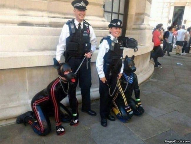New Police Dogs