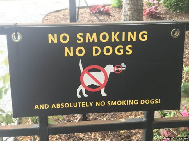 No Smoking And No Dogs
