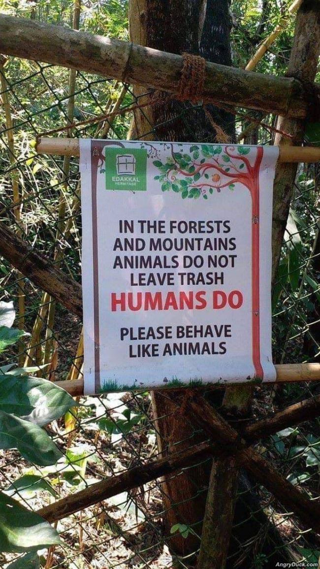 Please Behave Like Animals