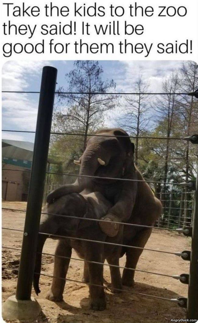 Take The Kids To The Zoo