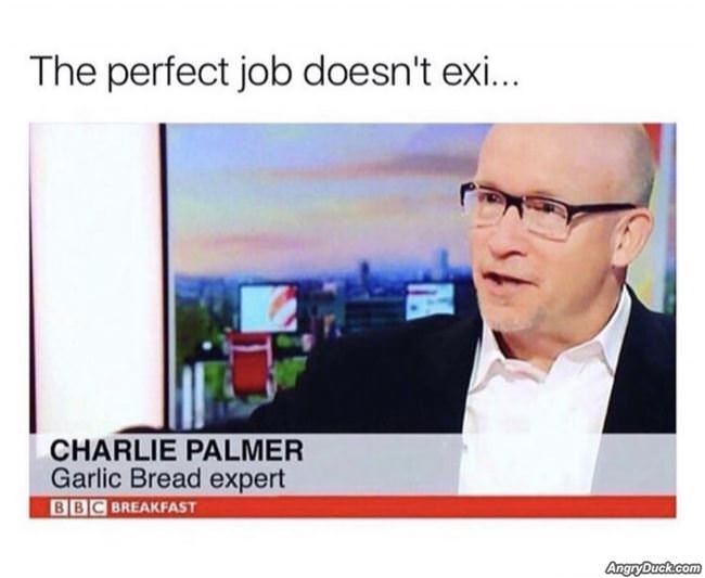 The Perfect Job