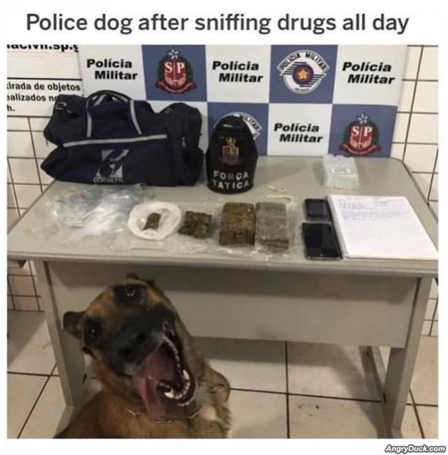 Today Was A Good Day