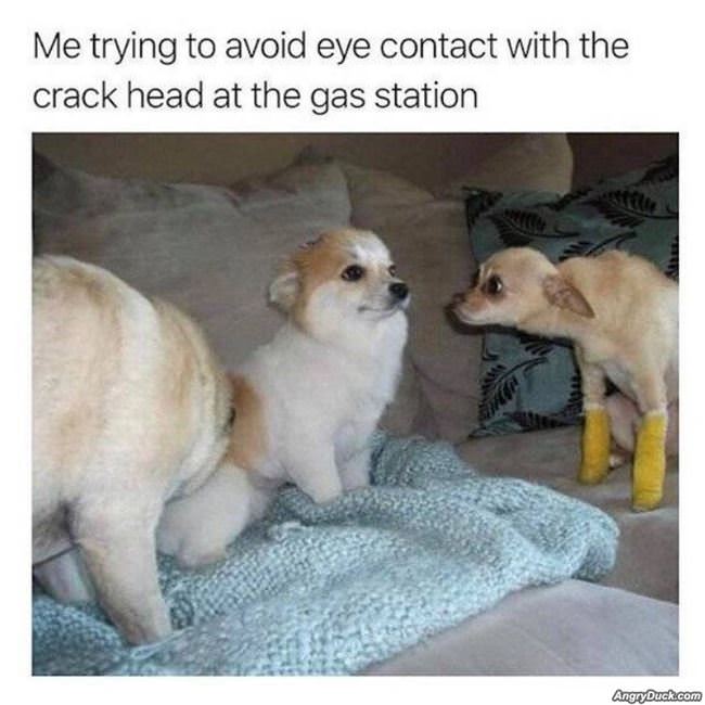 Avoid Eye Contact