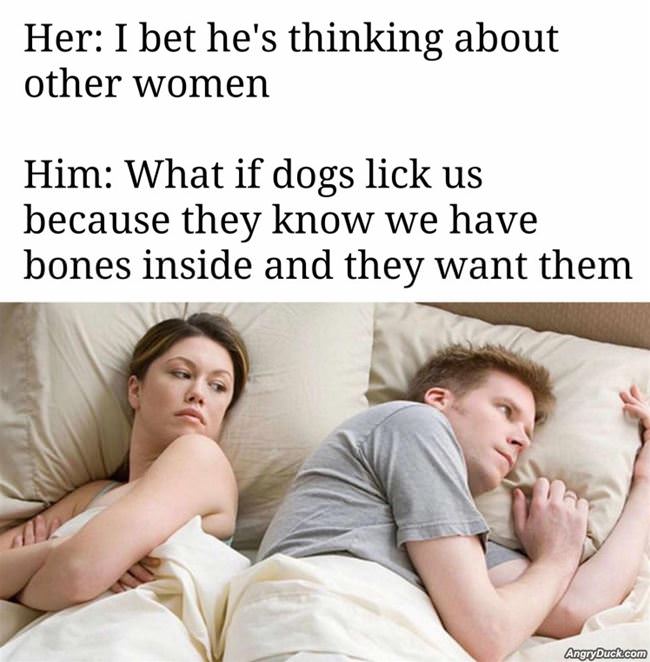 Dogs Licking Us