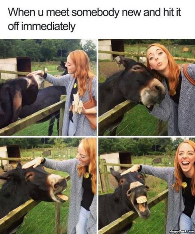 Hit It Off Immediately