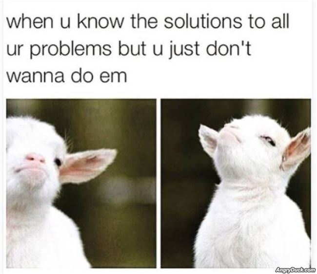 Knowing All The Solutions