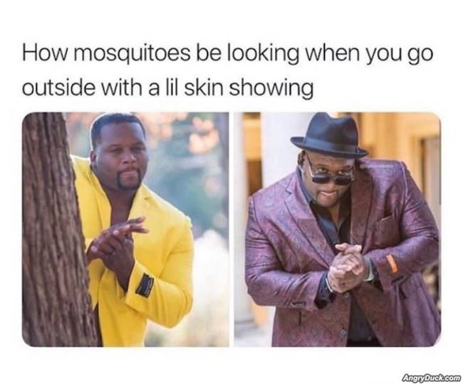 Mosquitos