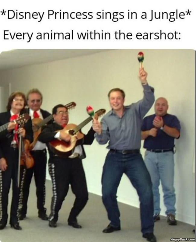 Singing In The Jungle