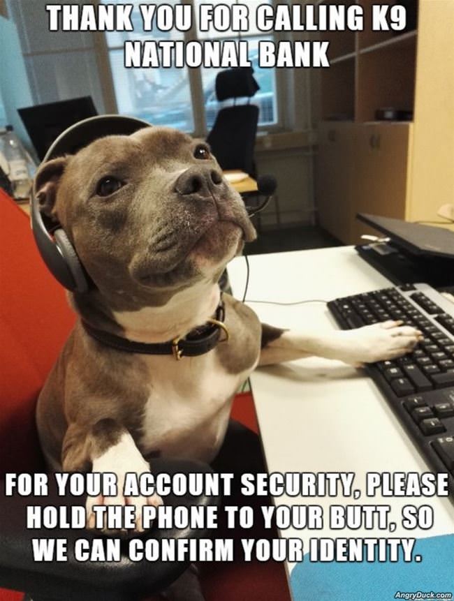 Thank You For Calling