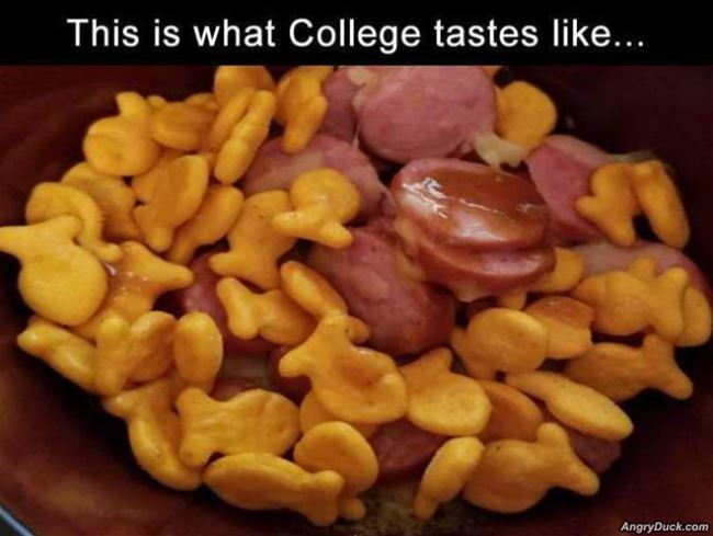 What College Tastes Like