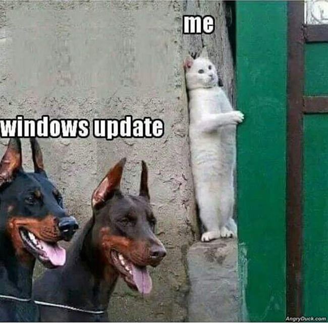 Windows Updates