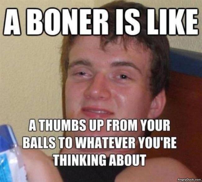 A Boner Is Like