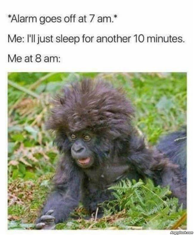 Alarm Goes Off At 7am