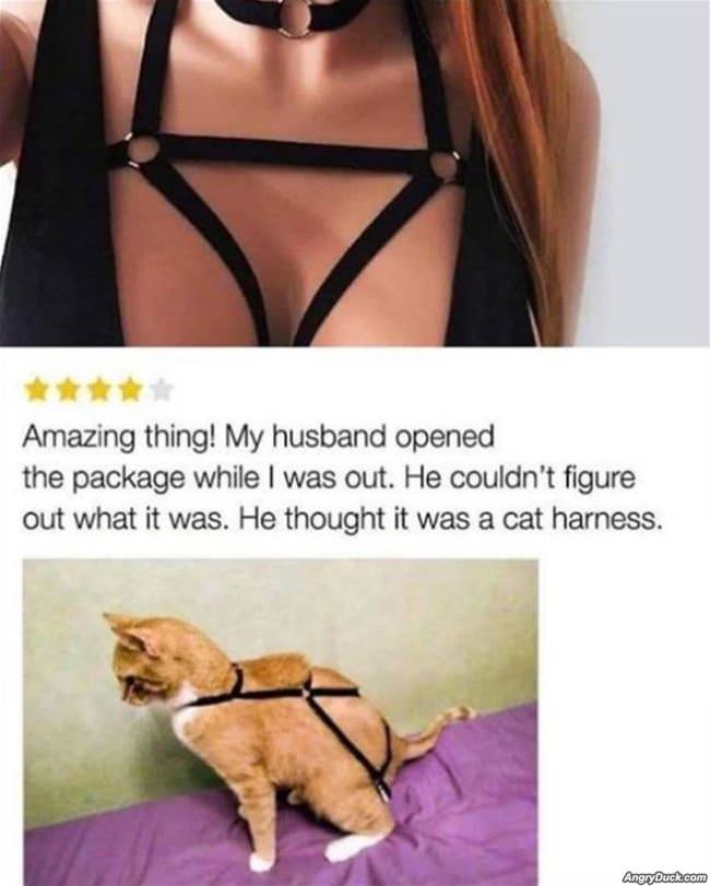 Cat Harness