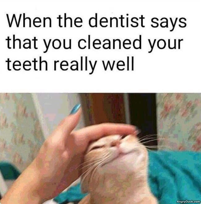 Cleaned Your Teeth Really Well