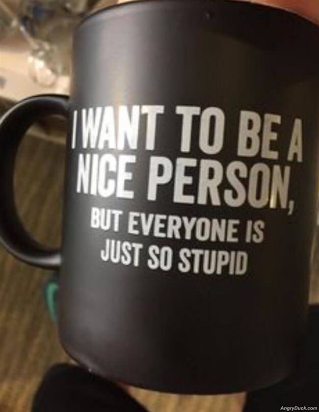 I Want To Be A Nice Person