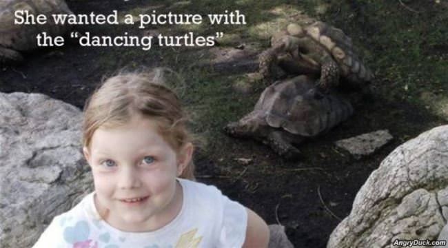 Picture With The Dancing Turtles