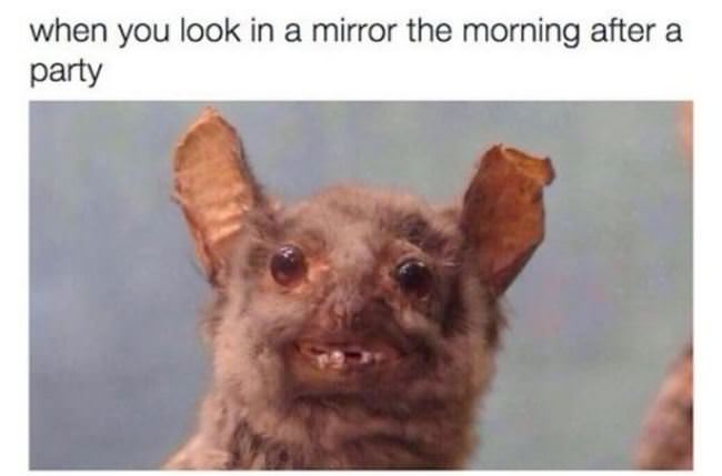 The Morning After A Party