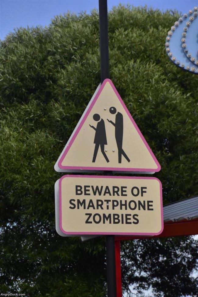 Beware Of Zombies