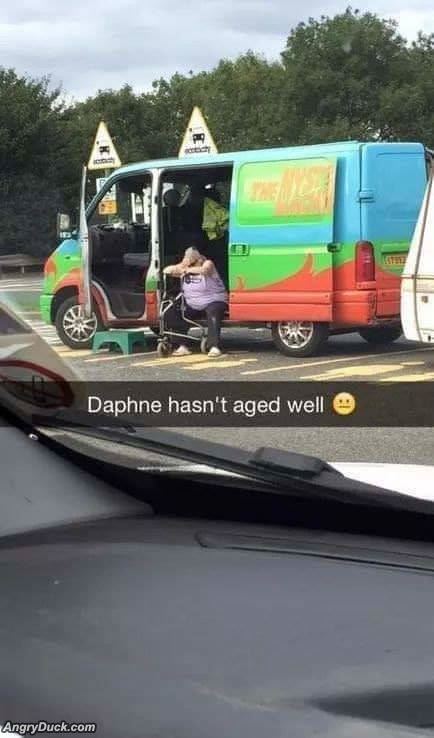 Daphne Aging