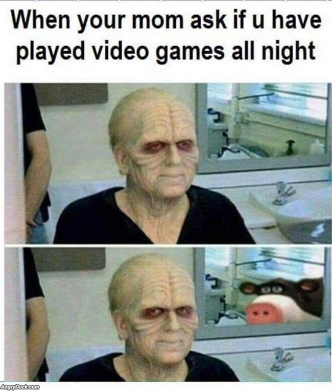 Did You Play Video Games All Night