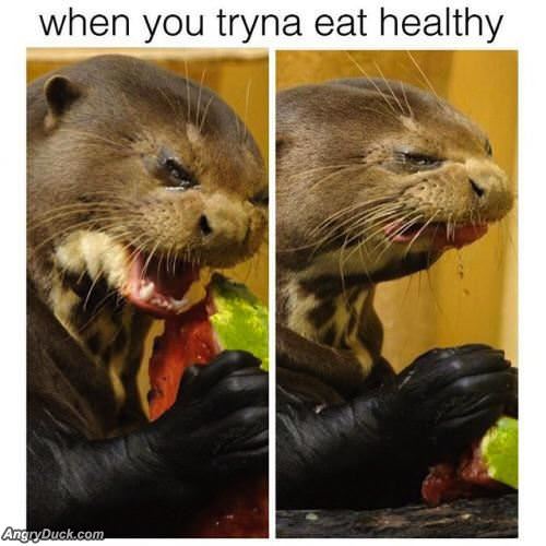 Eating Healthy