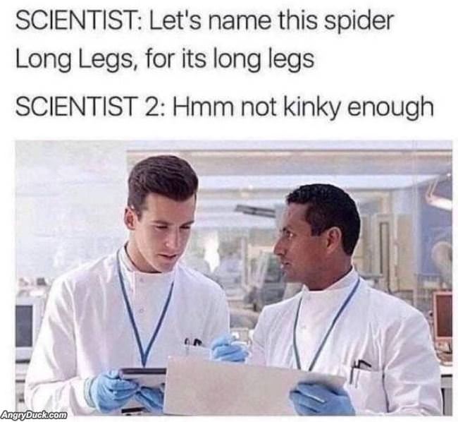 Not Kinky Enough