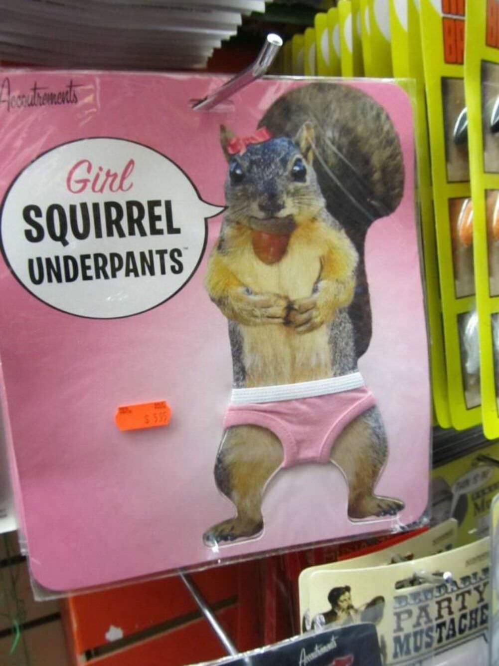 girl squirrel