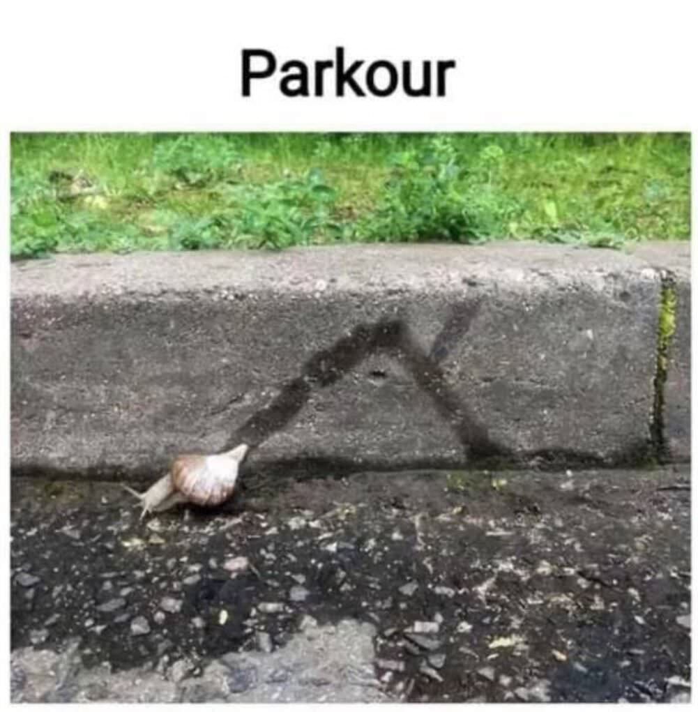 parkour