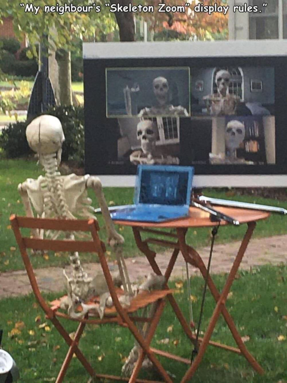 skelaton zoom meeting