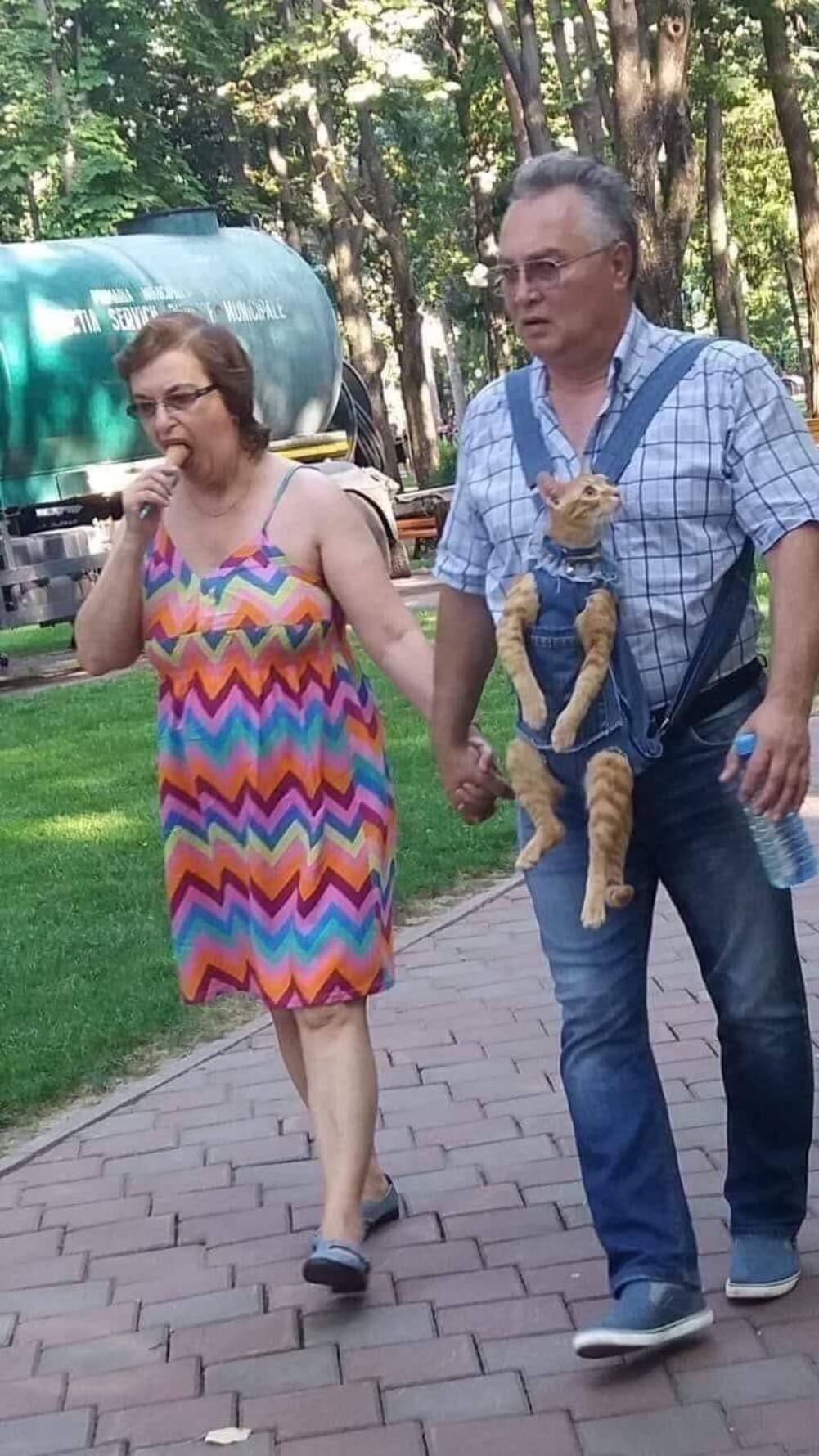 taking kitty for a walk