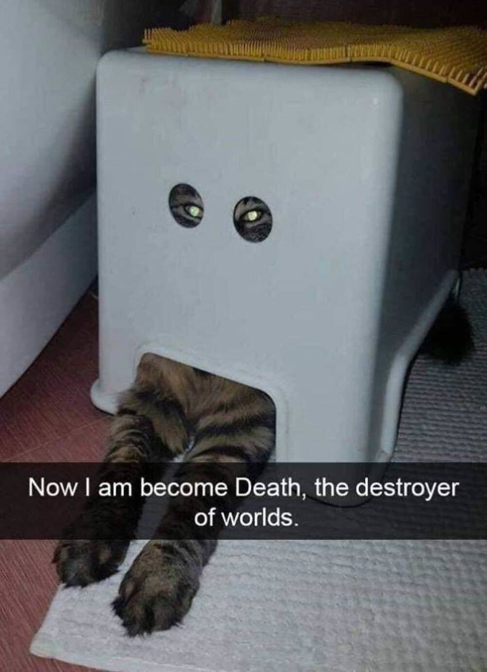 the destroyer