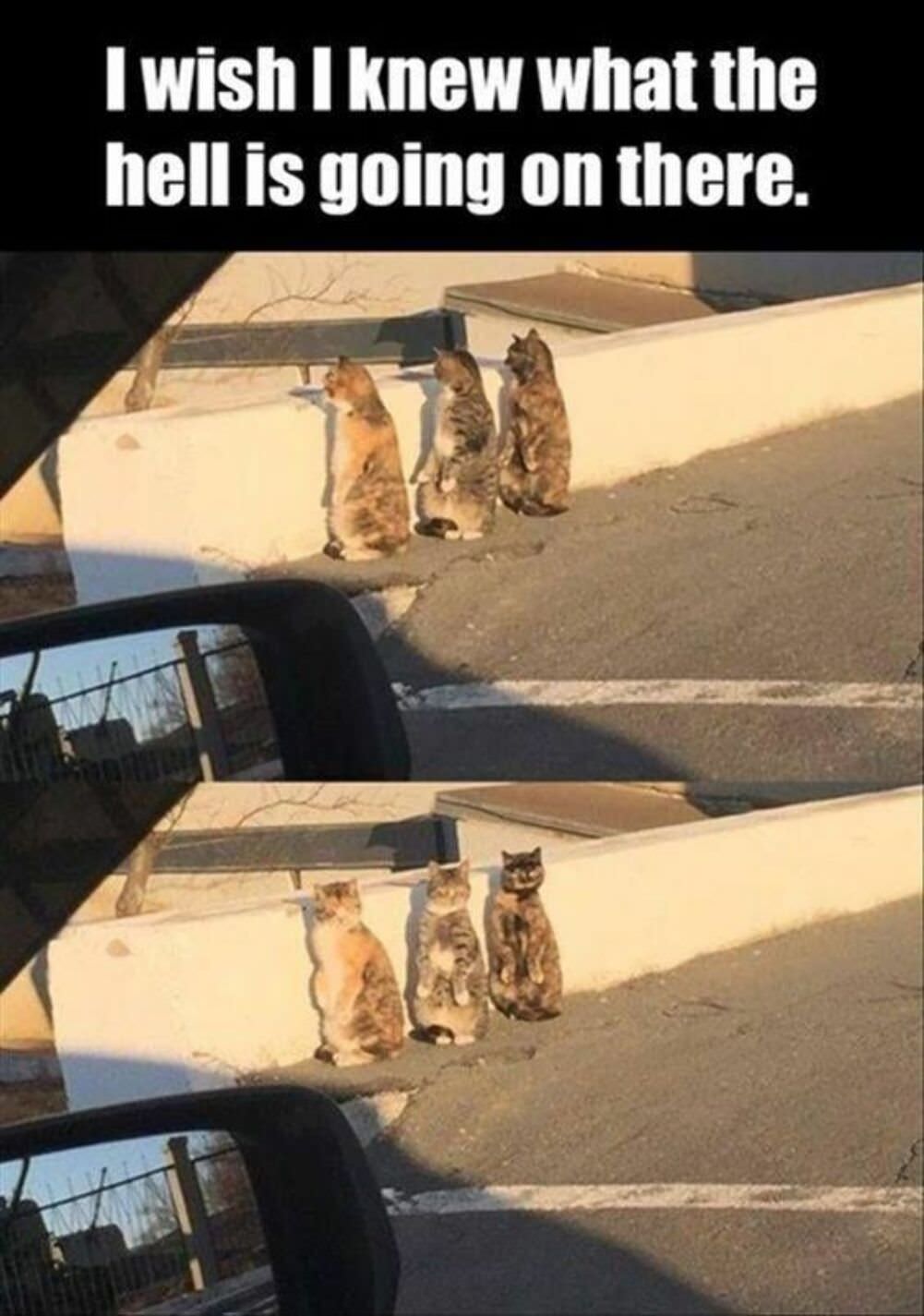 what is going on here