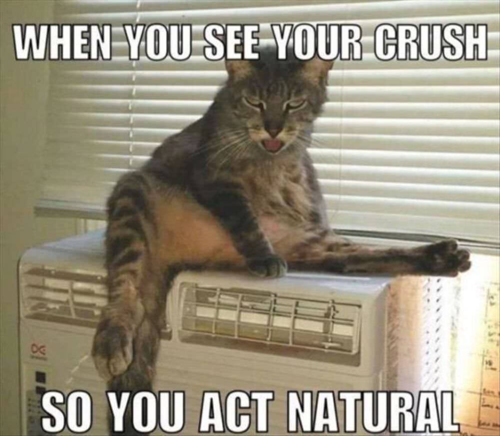 act natural