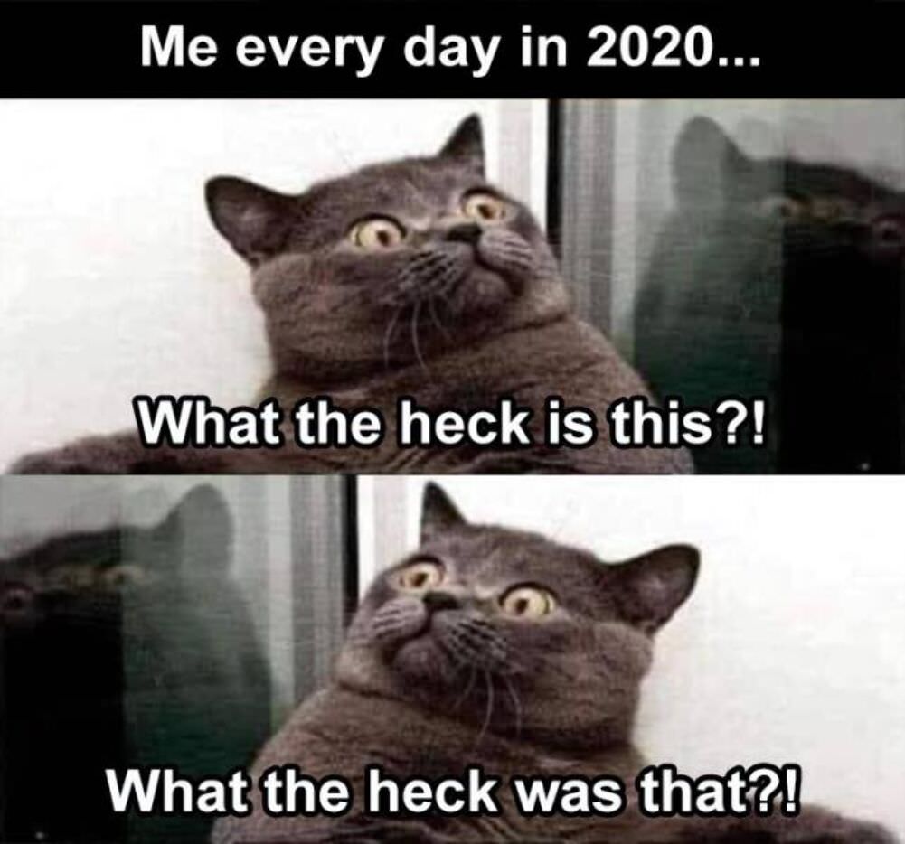 every day in 2020