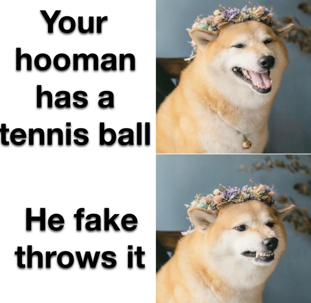 he has a tennis ball