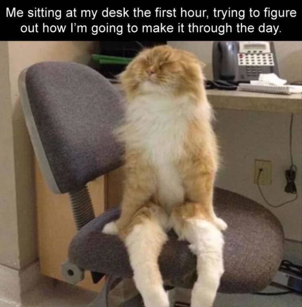 how to make it through the day