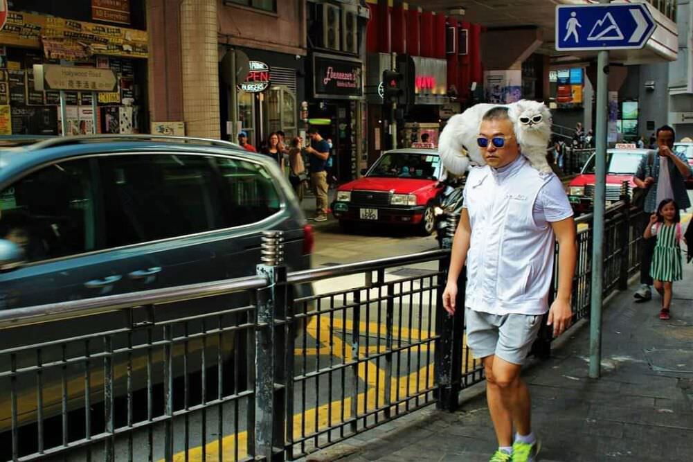 is there a cooler person