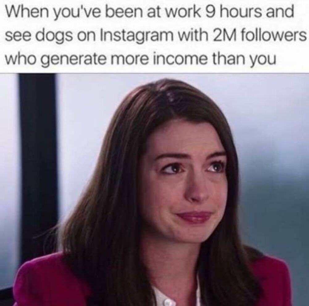 more income