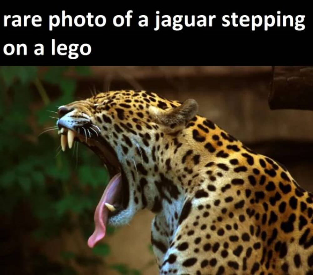 stepped on a lego