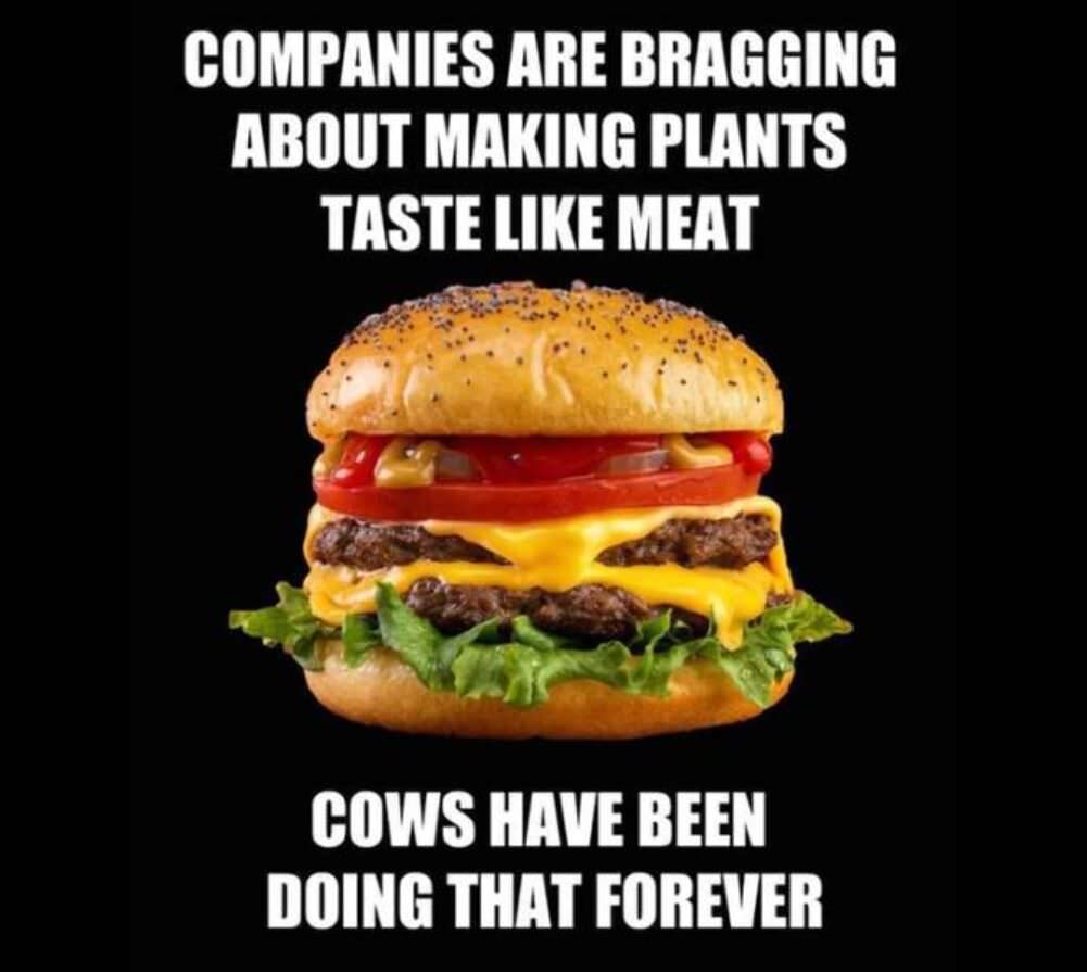 plants taste like meat