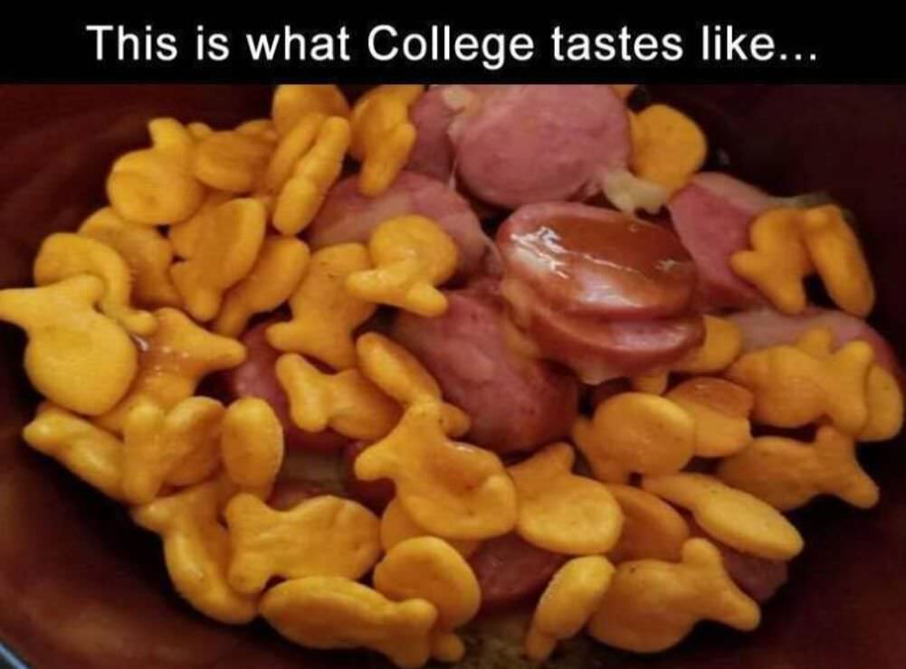 what college tastes like