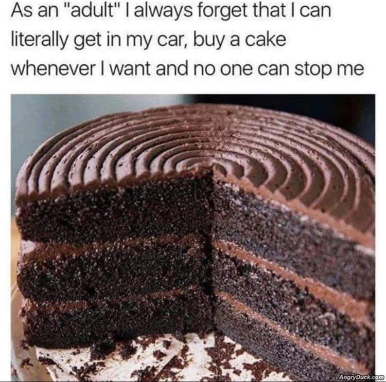 As An Adult