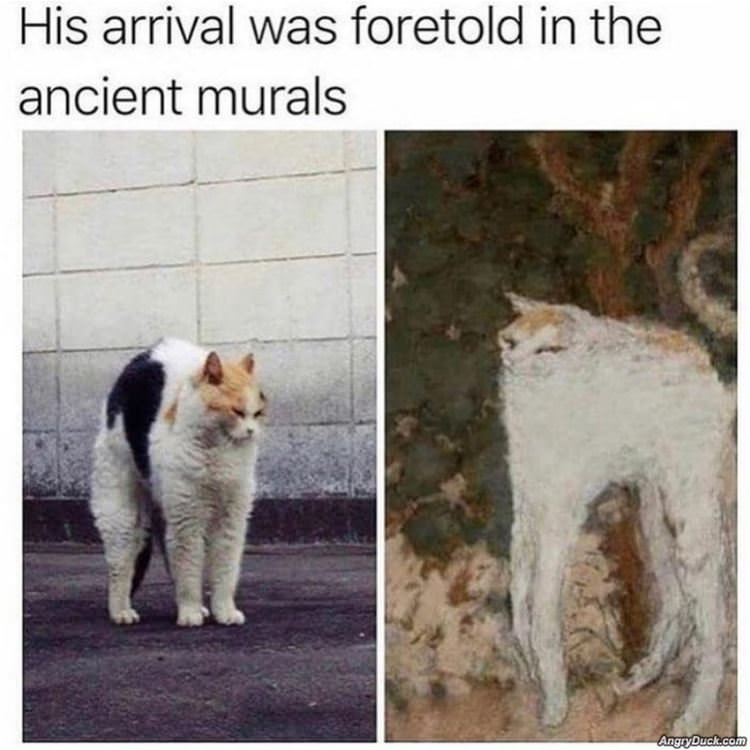 His Arrival Was Foretold