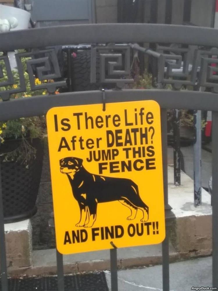 Is There Life After Death