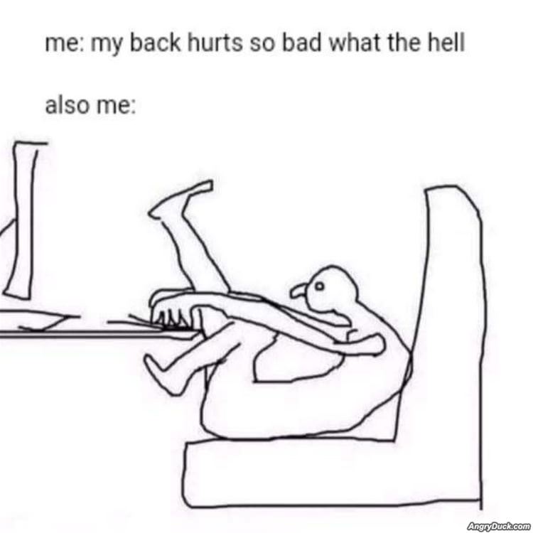 My Back Hurts