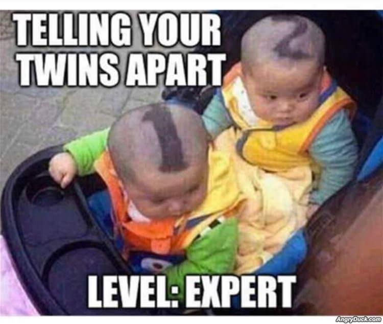 Telling Your Twins Apart