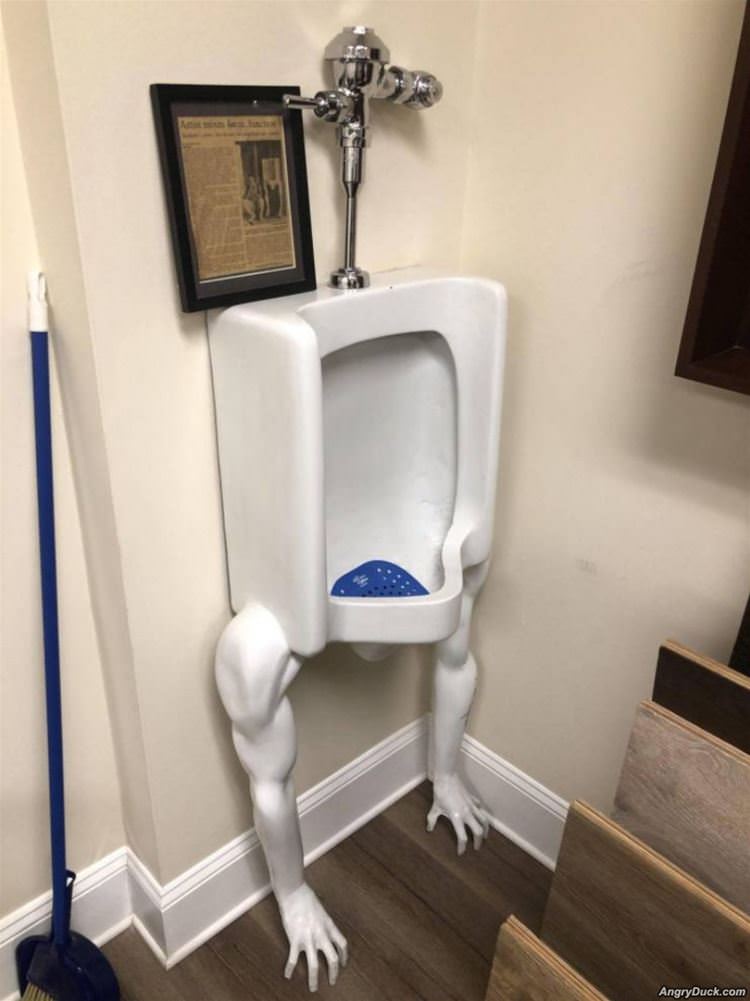 What The Urinal Is This